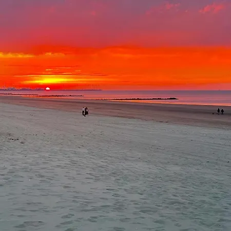 Sea View Juweeltje 크노케-하이스트