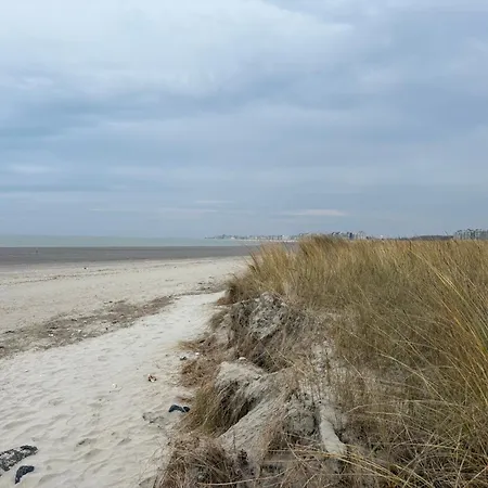 Apartmán Sea View Juweeltje