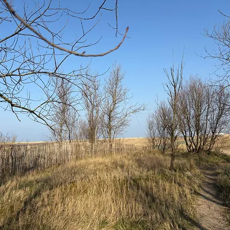 Sea View Juweeltje *